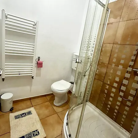 Daire Studio Apartament Alex Sibiu